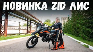 Новинка - Мотоцикл ZiD250 Лис