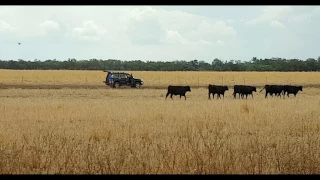 Drone Muster, Ford Park, Queensland, Austalia