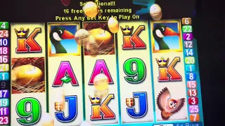 Nice Win! Handpay Jackpot on Wild Goose Slot Machine