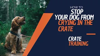 Does Your Dog Cry in The Crate? | Crate Training | Monterey Dog Training