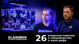 26 вопросов новичка про морской аквариум.