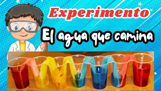 Experimento: "El agua que camina".