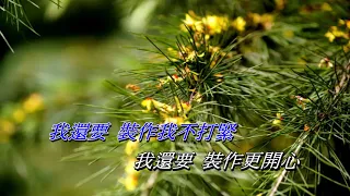 千枝針刺在心   林子祥〈卡拉伴奏版〉