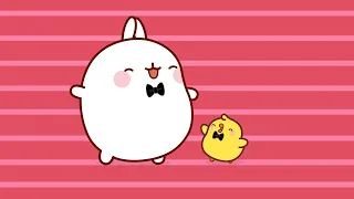 Molang - Superstars | Funny Compilation For Kids