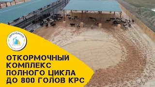 Новый комплекс по откорму КРС в холдинге ООО "Беларускалий-Агро"