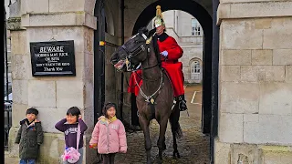 WHAT WAS SHE THINKING?! Tourist puts her kids in DANGER next to a HUGE King's Horse! Guard dismayed