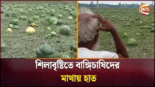 আশীর্বাদের বদলে ক্ষতি বয়ে এনেছে শিলা বৃষ্টি | Munshiganj | Channel 24