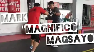 Mark Magsayo mitts workout