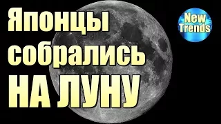 Японцы СОБРАЛИСЬ на ЛУНУ !!!