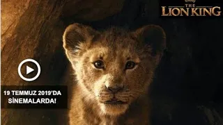 Aslan Kral / The Lion King | Türkçe Dublajlı Fragman
