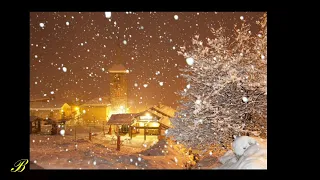 Adamo - Tombe la neige - cover Berny- #Adamo