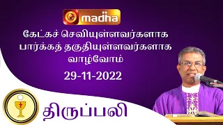 🔴 LIVE 29 November 2022 Holy Mass in Tamil 06:00 PM (Evening Mass) | Madha TV