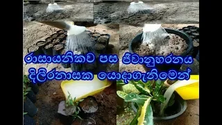 පස ජිවානුහරනය කිරිම රාසායනිකව pasa jiwanuharanayakirima rasayanika Soil sterilization ,ගෙවතු වගාව