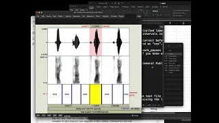 Chatino data processing demo (3/4) (UMass Linguist 592T)