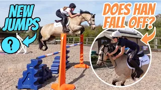NEW *spooky* JUMPS & MY FRIEND RIDES MY PONY ~ Showjumping barn vlog with Bear