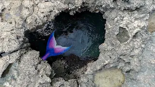 MERMAID CAVE