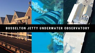 Busselton Jetty Underwater Observatory