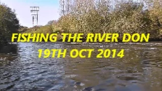 RIVER DON FISHING 19TH OCT 2014 - VIDEO 20