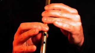 Beginners Tin Whistle lesson - Denis Murphy's Slide