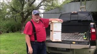 How to Make a Swarm Traps, What You Need to Know to Capture Free Bees