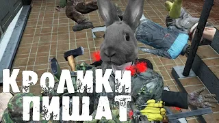 DayZ Standalone | Russian Mafia | Кролики пищат