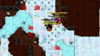 Botters on Tibia Aurera - Name: Templario Assassino