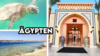 Ägypten Erfahrungen im Steigenberger Resort mit Hausriff zum Schnorcheln | sooohhalt