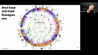 DNA Analysis & MAWDC (MAWDC 6/7/2022)