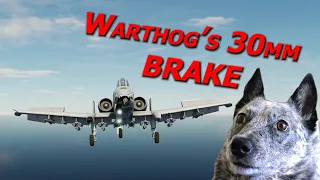 Testing the A-10's BEST BRAKE? Real Pilot Plays Digital Combat Simulator World
