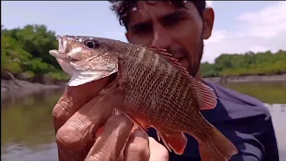 PESCARIA FARTA NO SURURUTIU...