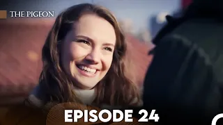 The Pigeon Episode 24 (FULL HD)
