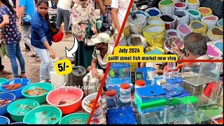 Recent Aquarium Fish Price Update | Galiff street Fish Market | Galiff Street new video ApriL 2024