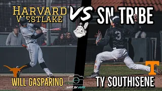 Will Gasparino & TOP 10 SCHOOL IN THE NATION take on SN Tribe