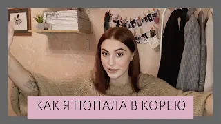 Как я попала в Корею | Немного о КДФ