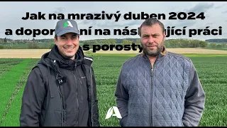 Jak se vypořádat s mrazivým dubnem 2024 a doporučení na následující práci s porosty