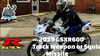 2019 GSXR 600 "Track Weapon or Squid Missile?" 4K