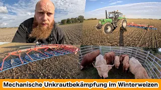 FarmVLOG#681 - Gelingt die Unkrautbekämpfung im Winterweizen besser?