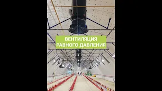 Вентиляция равного давления в птичнике для напольного выращивания бройлеров | Оборудование SAGRADA