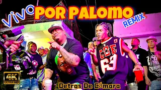 Bulin 47 ❌ Papaa Tyga - Vivo Por Palomo (Remix) Detras De Cámara