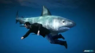 GTA 5 Gameplay : How to find the SHARK !