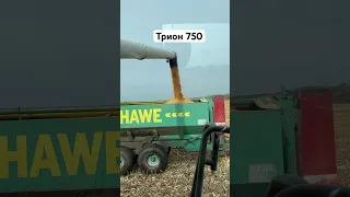 Trion 750 Claas #farming #agricultura #сельскоехозяйство