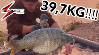 Big Fish 39,7 Kilo😍 Common Carp Record from Ontario Croatia 2022-Nico Schmidt-Yalla Yalla