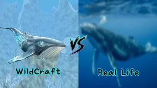 WildCraft Bosses In Real Life?! (2024)