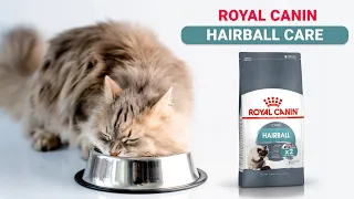 Сухой корм Royal Canin Hairball Care