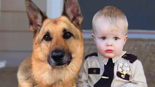 German Shepherd and Baby Compilation