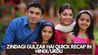 How A Poor Girl With Average Looks Excels In Life And Career Hindi/Urdu#fawadkhan #zindagigulzarhai