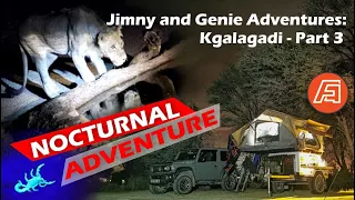 Suzuki Jimny and Metalian Genie Adventures: Kgalagadi Part 3