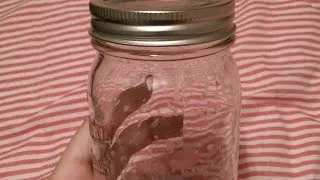 Make a Glow in the Dark Mason Jar - DIY Crafts - Guidecentral