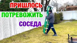 ВОТ И УЛЕТЕЛ | НЕРВНЫЕ АМЕРИКАНЦЫ | ЖИВУТ В США