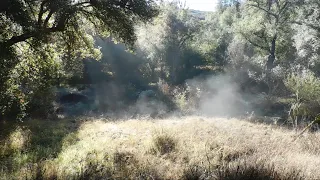 Morgan trail (Cleveland National forest)